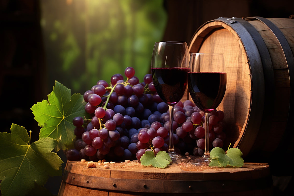 A Taste of Italy: Deluxe Wine Fair at Le Decanter 🍷✨